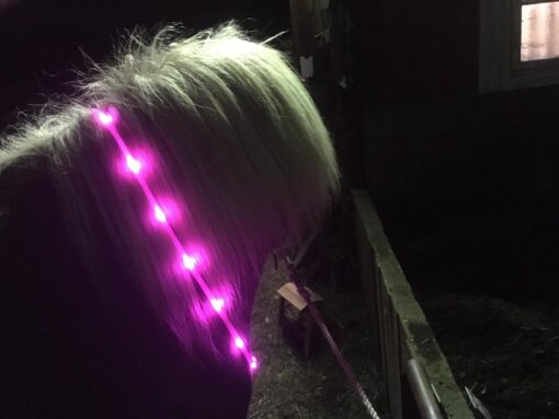 LED Reflexring usb