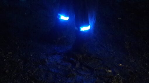 Benljus silicon/par - Bild 2
