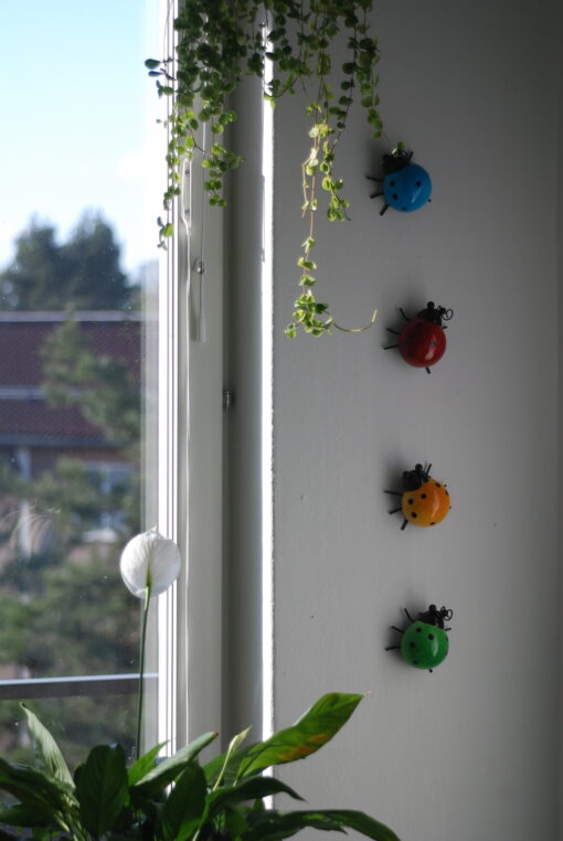 Nyckelpigor 4st/set - Bild 2