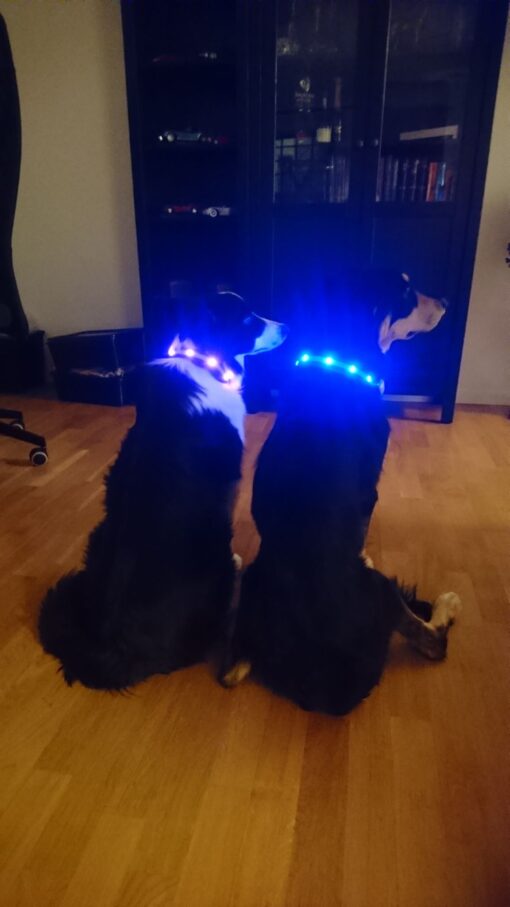 Pannband Led Batteri - Bild 6