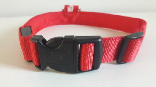 Hundhalsband - Bild 7