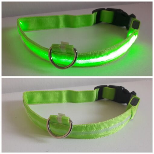 Hundhalsband
