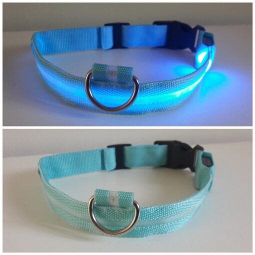 Hundhalsband - Bild 3