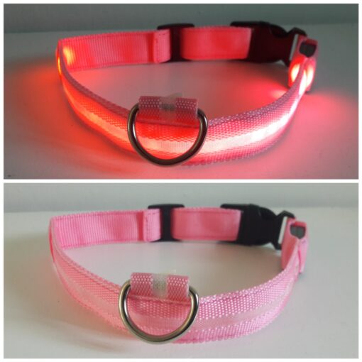 Hundhalsband - Bild 4